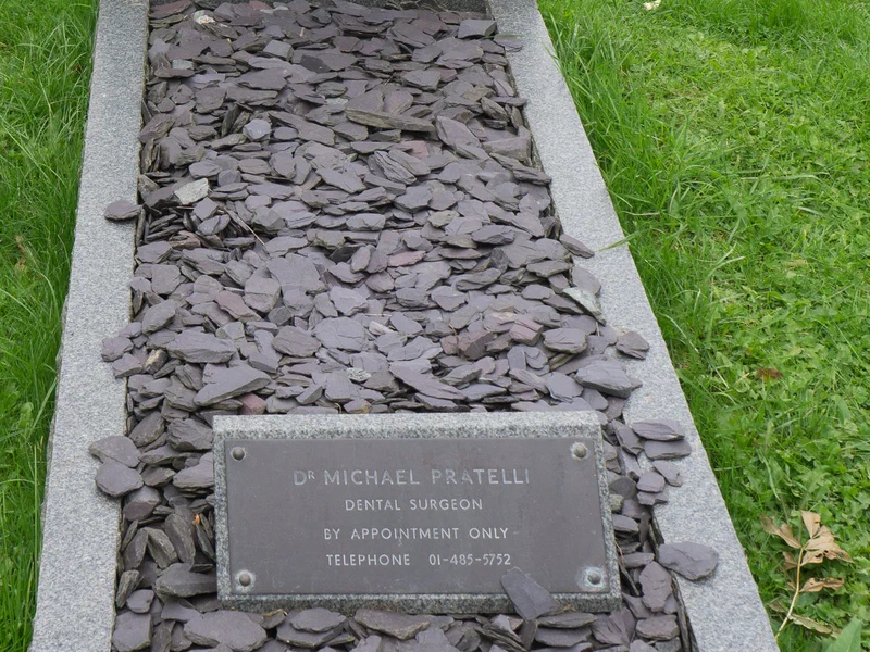 Mike Pratelli, 2017