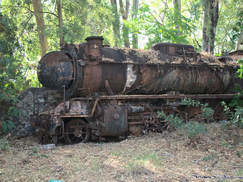 One of the several derelict steam engines at Myloi